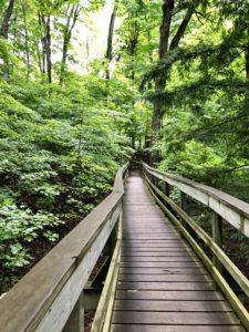 kortright Centre Trails in Woodbridge